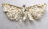 ( - BIOUG06714-F11)  @13 [ ] CreativeCommons - Attribution (2012) CBG Photography Group Centre for Biodiversity Genomics