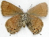  ( - BIOUG06722-B01)  @13 [ ] CreativeCommons - Attribution (2012) CBG Photography Group Centre for Biodiversity Genomics