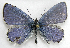  ( - BIOUG06722-B09)  @14 [ ] CreativeCommons - Attribution (2012) CBG Photography Group Centre for Biodiversity Genomics
