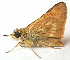  ( - BIOUG06722-C01)  @14 [ ] CreativeCommons - Attribution (2012) CBG Photography Group Centre for Biodiversity Genomics