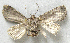  ( - BIOUG06722-F01)  @12 [ ] CreativeCommons - Attribution (2012) CBG Photography Group Centre for Biodiversity Genomics