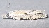  ( - BIOUG06722-H05)  @13 [ ] CreativeCommons - Attribution (2012) CBG Photography Group Centre for Biodiversity Genomics