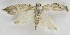  ( - BIOUG06722-H05)  @13 [ ] CreativeCommons - Attribution (2012) CBG Photography Group Centre for Biodiversity Genomics