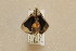  ( - F09Gsinaldus)  @12 [ ] Unspecified (default): All Rights Reserved  Unspecified Unspecified