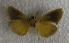  ( - JMZA5-005)  @13 [ ] Unspecified (default): All Rights Reserved  Unspecified Unspecified