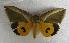  ( - JMZA8-008)  @14 [ ] Unspecified (default): All Rights Reserved  Unspecified Unspecified
