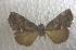  ( - JMZC12-12)  @13 [ ] Unspecified (default): All Rights Reserved  Unspecified Unspecified