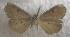  ( - JMZC12-12)  @13 [ ] Unspecified (default): All Rights Reserved  Unspecified Unspecified