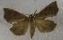  ( - JMZC8-008)  @13 [ ] Unspecified (default): All Rights Reserved  Unspecified Unspecified