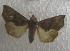  ( - JMZD10-010)  @13 [ ] Unspecified (default): All Rights Reserved  Unspecified Unspecified