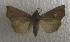  ( - JMZD10-010)  @13 [ ] Unspecified (default): All Rights Reserved  Unspecified Unspecified