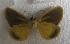  ( - JMZE1-001)  @13 [ ] Unspecified (default): All Rights Reserved  Unspecified Unspecified