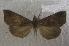  ( - JMZE5-005)  @13 [ ] Unspecified (default): All Rights Reserved  Unspecified Unspecified