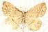  ( - JRLAA-009)  @13 [ ] CreativeCommons - Attribution (2009) Unspecified Centre for Biodiversity Genomics