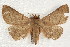  ( - JRLAA-020)  @13 [ ] CreativeCommons - Attribution (2009) Unspecified Centre for Biodiversity Genomics