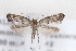  ( - CJSI23003)  @11 [ ] by-nc-sa (2023) J. Schmid Unspecified