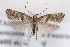  ( - CJSI23004)  @11 [ ] by-nc-sa (2023) J. Schmid Unspecified