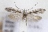  ( - CJSI23013)  @11 [ ] by-nc-sa (2023) J. Schmid Unspecified
