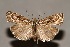  ( - CJSI24013)  @11 [ ] by-nc-sa (2024) J. Schmid Unspecified