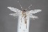  ( - CJSI24022)  @11 [ ] by-nc-sa (2024) J. Schmid Unspecified