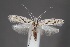 ( - CJSI24023)  @11 [ ] by-nc-sa (2024) J. Schmid Unspecified