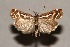  ( - CJSI24026)  @11 [ ] by-nc-sa (2024) J. Schmid Unspecified