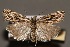  ( - CJSI24031)  @11 [ ] by-nc-sa (2024) J. Schmid Unspecified