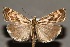  ( - CJSI24035)  @11 [ ] by-nc-sa (2024) J. Schmid Unspecified