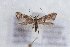  ( - CJSI 21004)  @11 [ ] by-nc-sa (2021) J. Schmid Unspecified