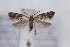  ( - CJSI 21006)  @11 [ ] by-nc-sa (2021) J. Schmid Unspecified
