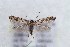  ( - CJSI 21010)  @11 [ ] by-nc-sa (2021) J. Schmid Unspecified