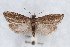  ( - CJSI 21046)  @11 [ ] by-nc-sa (2021) J. Schmid Unspecified