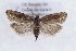  ( - CJSI 21049)  @11 [ ] by-nc-sa (2021) J. Schmid Unspecified