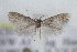  ( - CJSI 21056)  @11 [ ] by-nc-sa (2021) J. Schmid Unspecified