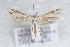  ( - CJSI 21060)  @11 [ ] by-nc-sa (2021) J. Schmid Unspecified