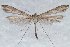  ( - CJSI 21064)  @11 [ ] by-nc-sa (2021) J. Schmid Unspecified