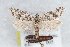  ( - CJSI 21066)  @11 [ ] by-nc-sa (2021) J. Schmid Unspecified