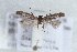  ( - CJSI 21069)  @11 [ ] by-nc-sa (2021) J. Schmid Unspecified
