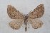  ( - CJSI 21088)  @11 [ ] by-nc-sa (2021) S. Birrer Unspecified