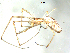  ( - BIOUG00633-E11)  @13 [ ] CC-0  G. Blagoev 2011 Unspecified