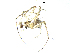  ( - BIOUG00633-F01)  @12 [ ] CC-0  G. Blagoev 2011 Unspecified