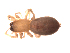  ( - BIOUG00635-B02)  @12 [ ] CC-0  G. Blagoev 2011 Unspecified
