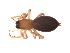  ( - BIOUG00635-B11)  @13 [ ] CC-0  G. Blagoev 2011 Unspecified