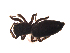  ( - BIOUG00635-D10)  @12 [ ] CC-0  G. Blagoev 2011 Unspecified