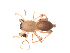  ( - BIOUG00635-G07)  @12 [ ] CC-0  G. Blagoev 2011 Unspecified
