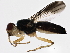  ( - BIOUG01604-F01)  @13 [ ] CreativeCommons - Attribution (2012) CBG Photography Group Centre for Biodiversity Genomics