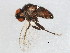  ( - BIOUG01632-F03)  @13 [ ] CreativeCommons - Attribution (2012) CBG Photography Group Centre for Biodiversity Genomics