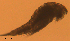  ( - BIOUG48555.B03)  @11 [ ] CreativeCommons  Attribution Non-Commercial Share-Alike  Jessica Schultz Centre for Biodiversity Genomics