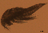  ( - CCDB-31231.E12)  @11 [ ] CreativeCommons  Attribution Non-Commercial Share-Alike  Jessica Schultz Centre for Biodiversity Genomics