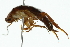  ( - 10BBBLA-0012)  @12 [ ] CreativeCommons - Attribution (2010) CBG Photography Group Centre for Biodiversity Genomics